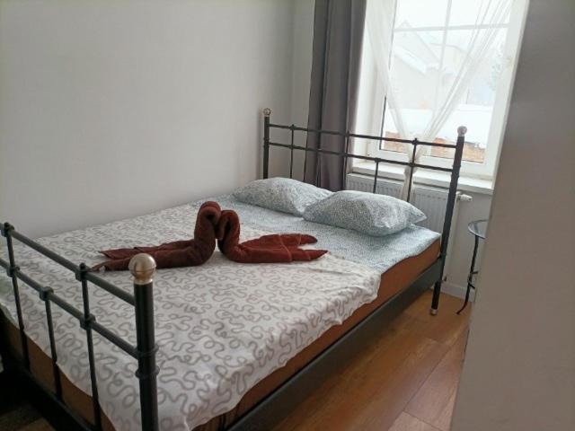 Fly Adventures- Dom Wedkarza Apartment Lesna Ngoại thất bức ảnh